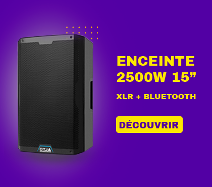 ENCEINTE 2500W MOBILE (2)